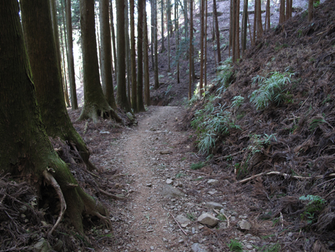 20170118hike (484)